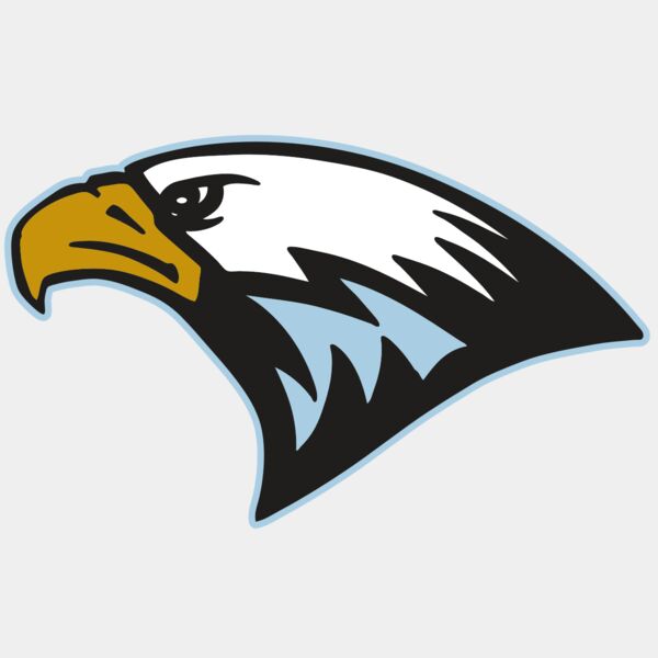 AR EAGLE 27 RC Thumbnail