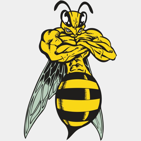 BAW BEE 16 RC Thumbnail