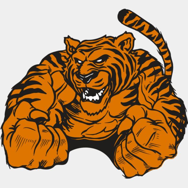 AR TIGER 55 RC Thumbnail